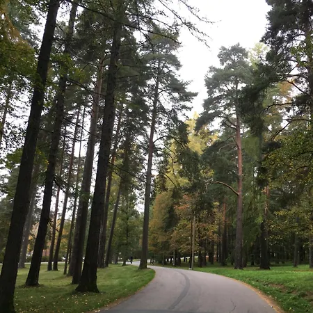 Апартаменты Rosendahl - 75m2 Lakeside Two-story Apt Next To The Beach And Scenic Park - Free Parking, Easy Check-in, Near Downtown *